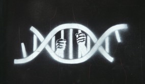 Genetic-determinism