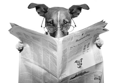 dog reading a newspaper